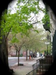view south on Washington Ave. from Cucumber Alley – Schenectady Stockade –&nbsp;3May2011