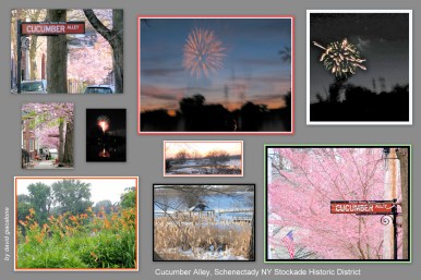 cherry blossoms, fireworks and more seen from Cucumber Alley in the Schenectady NY Stockade