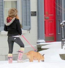 a dogwalker passes 10 Front St. after a major snow storm - Schenectady NY Stockade - 9 AM 09Feb2013