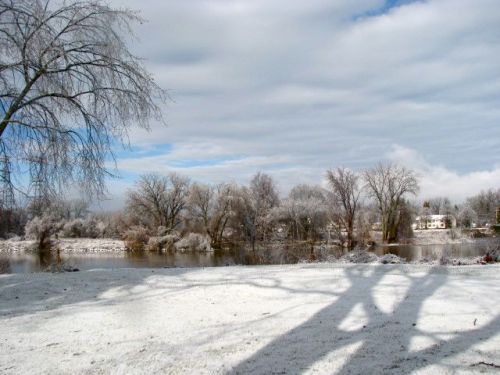 Dec. 12th ice storm from my backyard