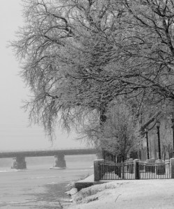 ice storm (Dec. 12, 2008)