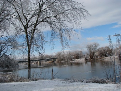 BacyYardIceStormDec08