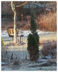 part of garden at west end of Riverside Park along the Mohawk River – Schenectady NY  Stockade –&nbsp;15Jan2014