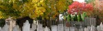cemetery of 1st Presbyterian Church – Schenectady NY Stockade District –&nbsp;28Oct2010