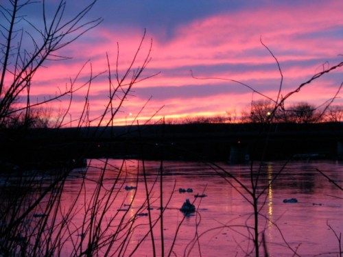 sunsetbackyard12mar09 backyard sunset March 12, 2009
