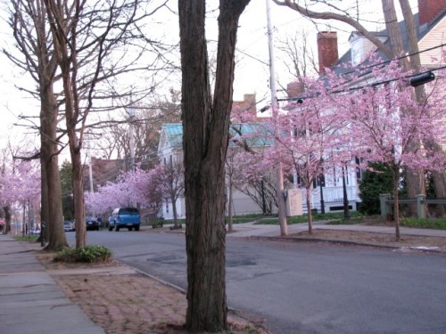 cherryb09-WashAve-s