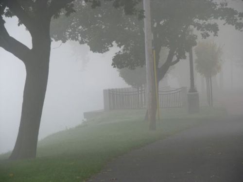 - Riverside Park, October 8, 2008 -