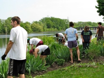 Planting Day 09 c Planting Day 09 c