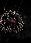 Fireworks – Jumpin’ Jack’s 2009&nbsp;d
