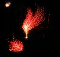 Fireworks - Jumpin' Jack's 2009 - red jellyfish?