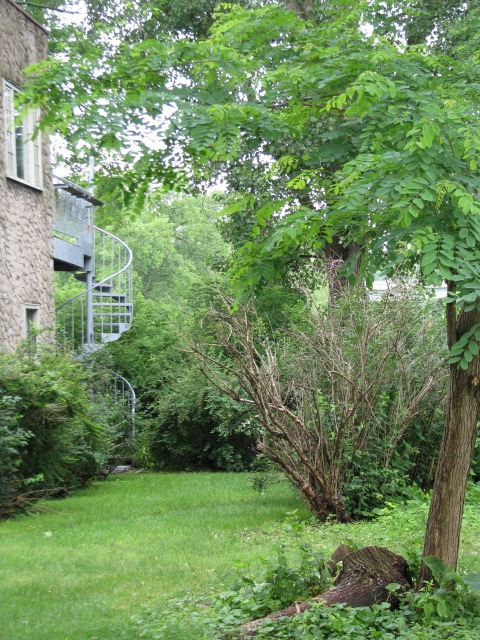 Linden Tree Down - staircase view - 1 Cucumber Alley