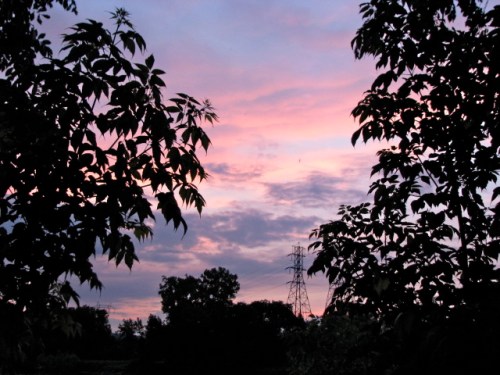 Sunset - from the rear of 16 Washington Ave. - 07Jun09b