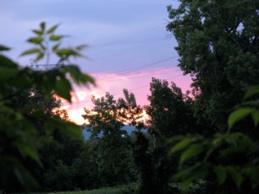 Sunset Garden - 1 Cucumber Alley - 14June2009