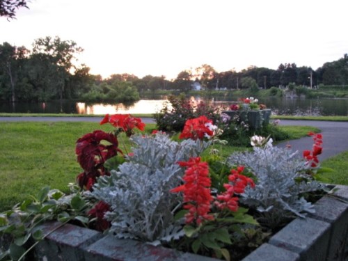 planter at Governor's Lane in Riverside Park, Schenectady - 19Jul09