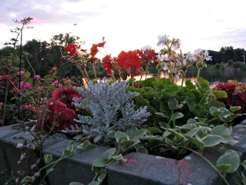 planter #2 at Governor's Lane in Riverside Park