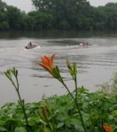 orange – daylily with river crew&nbsp;02July09