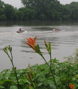 orange - daylily with river crew 02July09