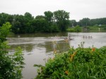 orange -crew sculls with daylilies on the Mohawk –&nbsp;02July09