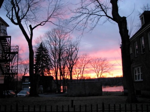 late sunset - 11Mar09 - street view at 16 Wash Av