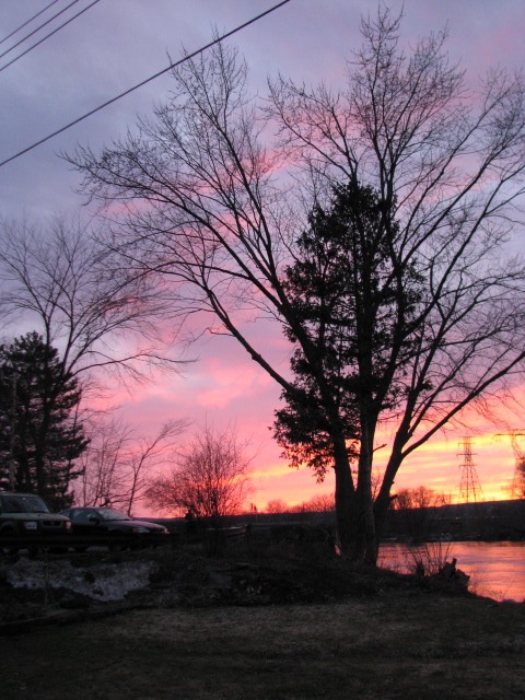 sunset - 11Mar09 - west view from tree at Wash. Ave. deadend 
