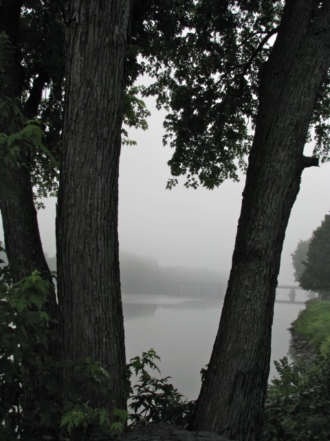 looking eastward over the foggy Mohawk River from Washington Ave. - 10Aug09