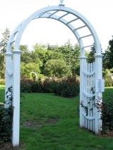 Central Park Rose Garden 2009 - entryway arbor