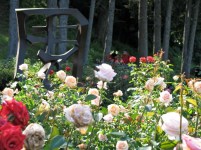 two youths on a bench in the Rose Garden woods 03Aug09