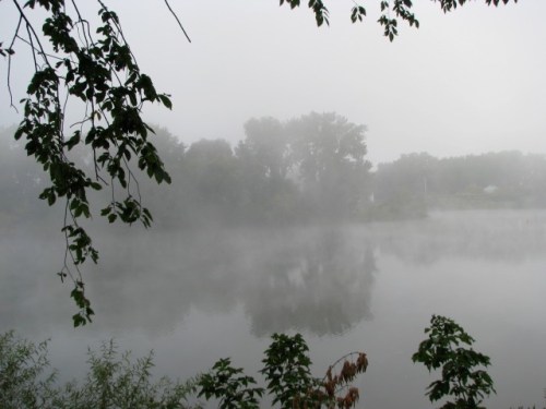 Isle of the Cayugas in the fog from Cucumber Alley - 8:30 AM - 21ep09