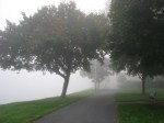 Mohawk Fog along the pathway at the western end of Riverside Park –&nbsp;21Sep09