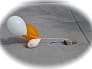 Walkabout 2009 -wilted balloons in the driveway of 12 1/2 North Ferry St.