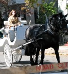 Walkabout 2009 – horse carriage passes by Lawrence the&nbsp;Indian