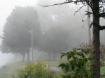 Walkabout 2009 – Riverside Park in the fog, near Washington&nbsp;Ave.