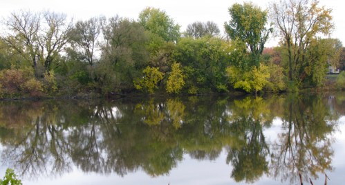 south side of the Isle of the Cayugas reflected in the Mohawk River - 24Oct09