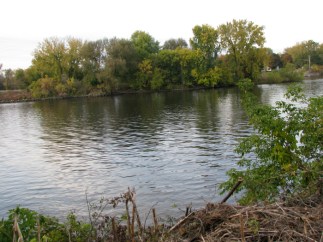 Isle of the Cayugas and Mohawk River seen from 16 Washington Ave. backyard - 20Oct09