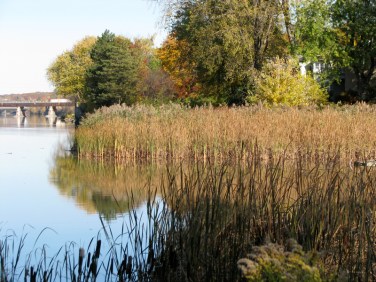 view from Gateway Landing of the bank of the Mohawk River at the end of Cucumber Alley, Schenectady NY - 27Oct09 view from Gateway Landing of the bank of the Mohawk River at the end of Cucumber Alley, Schenectady NY - 27Oct09