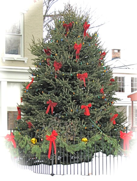 2009 Stockade Christmas tree in Schenectady's Lawrence Circle - 14Dec09