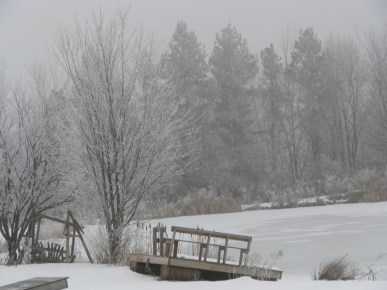 the Miner's swimming pond iced over on Christmas Day in Duanesburg NY - 25Dec09