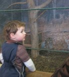 Devin visiting Aries the one-winged owl at the Five Rivers Visitor Center - 16Jan2010