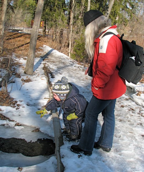 Devin points at a partially-frozen creek along the Beaver Tree Trail at Five Rivers Center - 16Jan2010