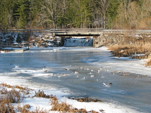 bridge over pond along the Beaver Tree Trail at Five Rivers Center - 16Jan2010