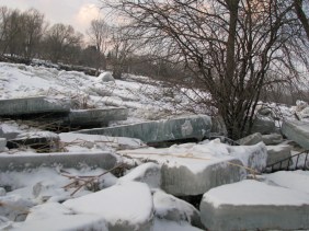 ice floes left behind by Jan 26 flood along the Mohawk at the rear of 1 Cucumber Alley in Schenectady's Stockade - 03Feb2010