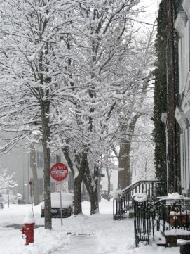 north side of Front St. at Church in the Stockade on a snowy afternoon - 16Feb2010