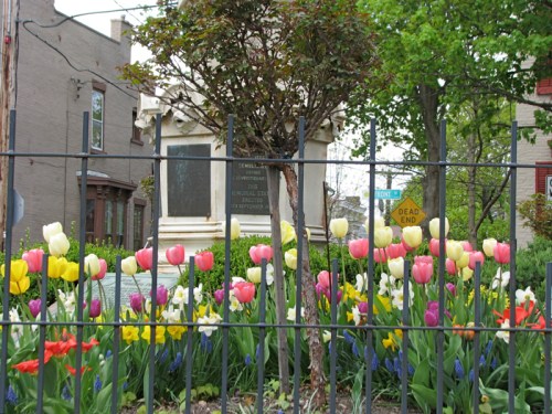 tulips arrayed in front of the statue of Lawrence the Indian in the Schenectady Stockade - 21Apr2010