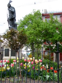 Lawrence Circle in the Schenectady Stockade filled with tulips - 21Apr2010