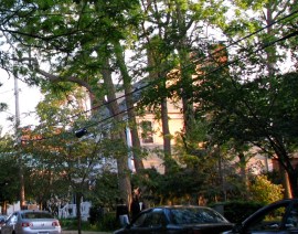 Schenectady County Historical Society on Washington Ave. just before sunset in the Schenectady Stockade- 27May2010