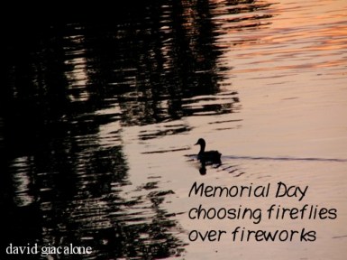 lone duck at sunset along the Schenectady Stockade waterfront made into a photo haiga - Memorial Day 2008