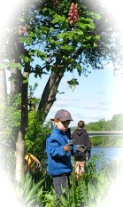 Owen chooses to work under the red horse-chestnut tree on Park Planting Day at the western end of Schenectady's Riverside Park along the Mohawk River - 15May2010