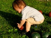 Andrew examines a few bocci balls in Riverside Park - 21July2010