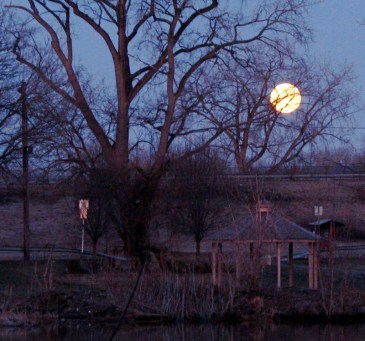 Super Moon over the Gateway Landing Gazebo from rear of 1 Cucumber Alley - Schenectady Stockade - 20March2011 6:50 AM