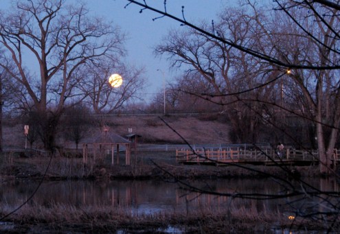 Super Moon over the Gateway Landing from rear of 1 Cucumber Alley - Schenectady Stockade - 20March2011 6:40 AM